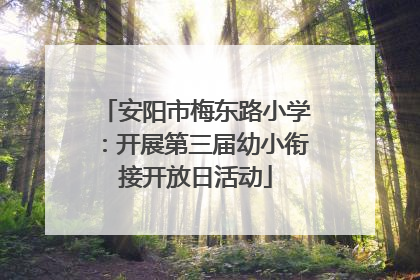 安阳市梅东路小学：开展第三届幼小衔接开放日活动