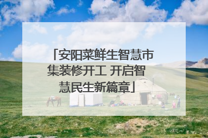 安阳菜鲜生智慧市集装修开工 开启智慧民生新篇章