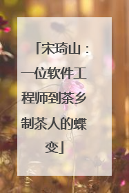 宋琦山：一位软件工程师到茶乡制茶人的蝶变
