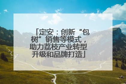 定安：创新“包树”销售等模式，助力荔枝产业转型升级和品牌打造