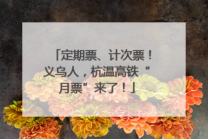 定期票、计次票！义乌人，杭温高铁“月票”来了！