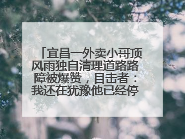 宜昌一外卖小哥顶风雨独自清理道路路障被爆赞，目击者：我还在犹豫他已经停车清障了