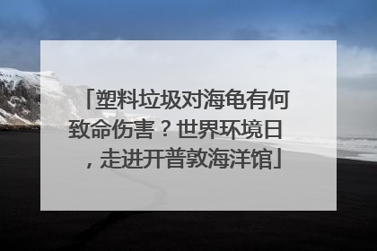 塑料垃圾对海龟有何致命伤害？世界环境日，走进开普敦海洋馆