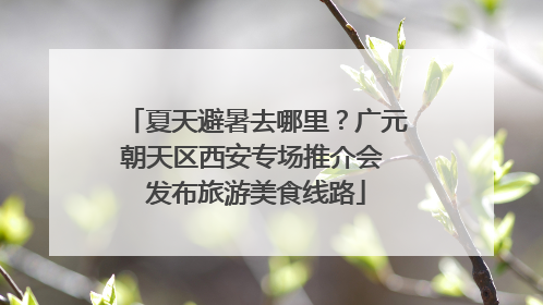 夏天避暑去哪里？广元朝天区西安专场推介会 发布旅游美食线路