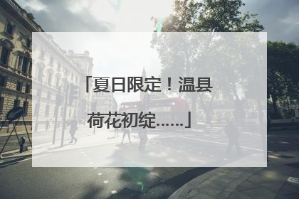 夏日限定！温县荷花初绽……