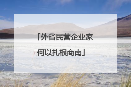 外省民营企业家何以扎根商南