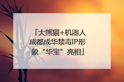 大熊猫+机器人 成都成华禁毒IP形象“华宝”亮相