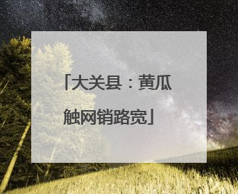 大关县：黄瓜触网销路宽