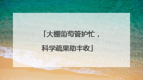 大棚葡萄管护忙，科学疏果助丰收