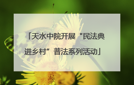 天水中院开展“民法典进乡村”普法系列活动