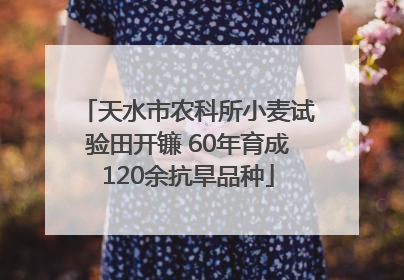 天水市农科所小麦试验田开镰 60年育成120余抗旱品种