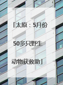 太原：5月份 50多只野生动物获救助