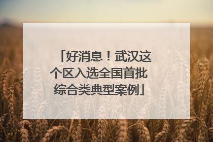 好消息！武汉这个区入选全国首批综合类典型案例