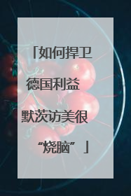 如何捍卫德国利益 默茨访美很“烧脑”