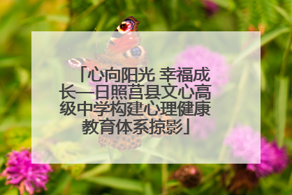 心向阳光 幸福成长—日照莒县文心高级中学构建心理健康教育体系掠影