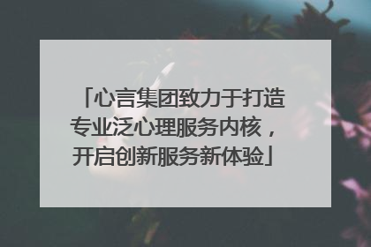 心言集团致力于打造专业泛心理服务内核，开启创新服务新体验