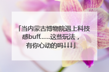 当内蒙古博物院遇上科技感buff……这些玩法，有你心动的吗↓↓↓