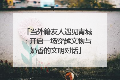 当外籍友人遇见青城：开启一场穿越文物与奶香的文明对话