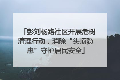 彭刘杨路社区开展危树清理行动，消除“头顶隐患”守护居民安全