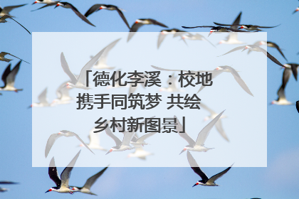 德化李溪：校地携手同筑梦 共绘乡村新图景