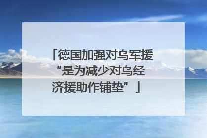 德国加强对乌军援 “是为减少对乌经济援助作铺垫”