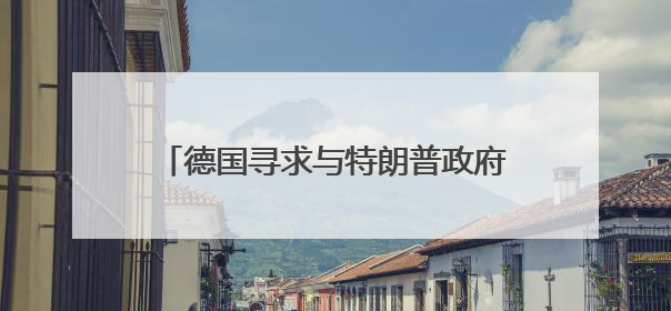 德国寻求与特朗普政府协调涉乌克兰问题立场