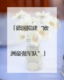 德国拟建“欧洲最强军队”