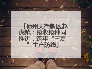 德州天衢新区赵虎镇：抢收抢种同推进，筑牢“三夏”生产防线