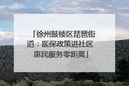 徐州鼓楼区琵琶街道：医保政策进社区 惠民服务零距离