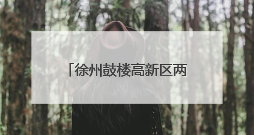 徐州鼓楼高新区两个10亿级重大产业项目顺利开工