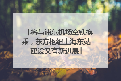 将与浦东机场空铁换乘，东方枢纽上海东站建设又有新进展
