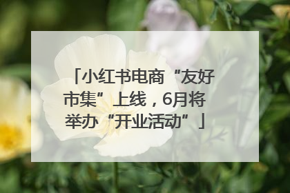 小红书电商“友好市集”上线，6月将举办“开业活动”