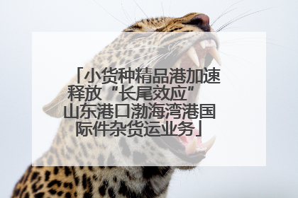 小货种精品港加速释放“长尾效应” 山东港口渤海湾港国际件杂货运业务