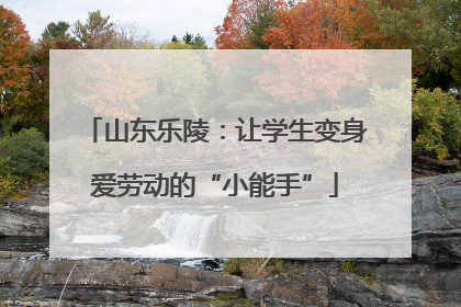 山东乐陵：让学生变身爱劳动的“小能手”
