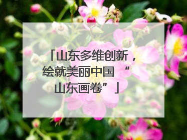山东多维创新，绘就美丽中国 “山东画卷”