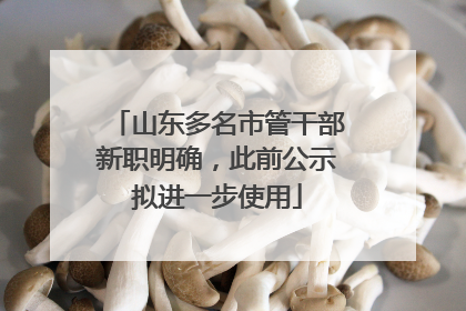 山东多名市管干部新职明确，此前公示拟进一步使用