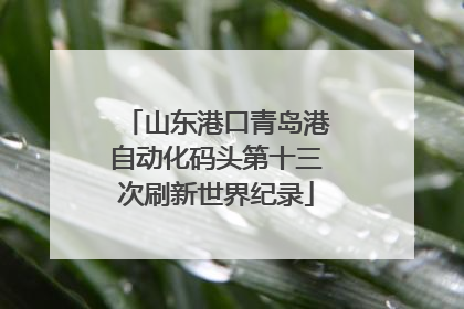 山东港口青岛港自动化码头第十三次刷新世界纪录