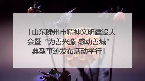 山东滕州市精神文明建设大会暨“为善兴滕 感动善城”典型事迹发布活动举行