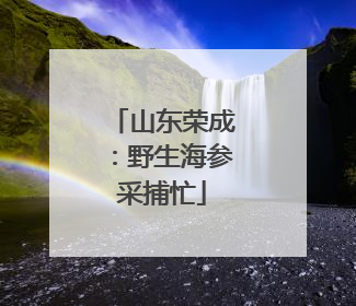 山东荣成：野生海参采捕忙