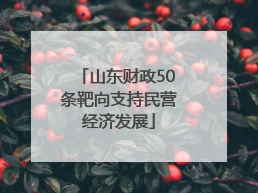 山东财政50条靶向支持民营经济发展