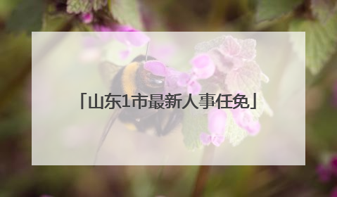 山东1市最新人事任免