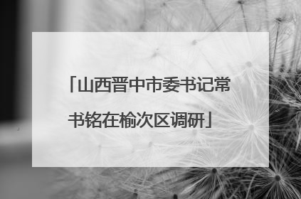 山西晋中市委书记常书铭在榆次区调研