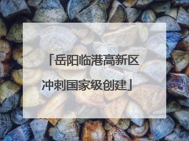 岳阳临港高新区冲刺国家级创建