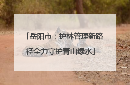 岳阳市：护林管理新路径全力守护青山绿水