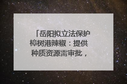 岳阳拟立法保护樟树港辣椒：提供种质资源需审批，违规最高罚5万