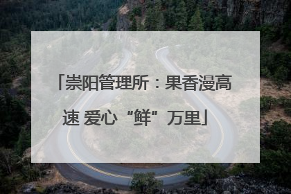 崇阳管理所：果香漫高速 爱心“鲜”万里