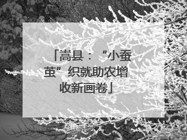 嵩县：“小蚕茧”织就助农增收新画卷