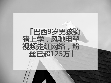 巴西9岁男孩骑猪上学，风驰电掣视频走红网络，粉丝已超125万