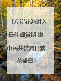 左岸花海进入最佳观赏期 邀市民共赏夏日繁花盛景