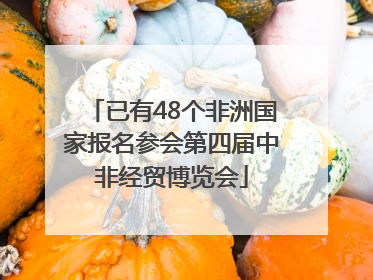已有48个非洲国家报名参会第四届中非经贸博览会